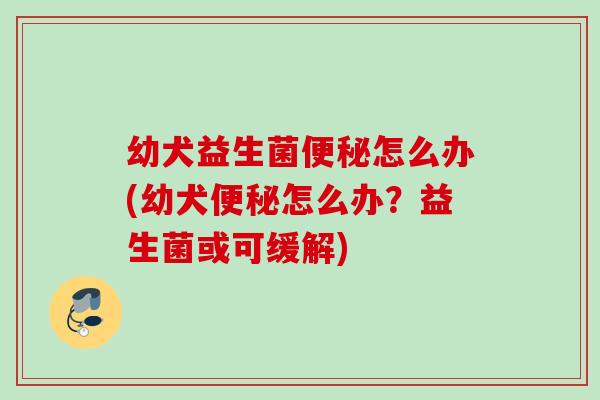 幼犬益生菌怎么办(幼犬怎么办?益生菌或可缓解) 幼犬益生菌怎么办(幼犬怎么办?益生菌或可缓解)