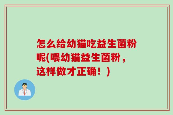 怎么给幼猫吃益生菌粉呢(喂幼猫益生菌粉，这样做才正确！)