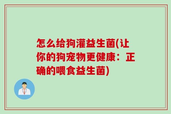 怎么给狗灌益生菌(让你的狗宠物更健康：正确的喂食益生菌)