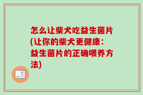 怎么让柴犬吃益生菌片(让你的柴犬更健康:益生菌片的正确喂养方法) 怎么让柴犬吃益生菌片(让你的柴犬更健康:益生菌片的正确喂养方法)