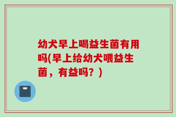 幼犬早上喝益生菌有用吗(早上给幼犬喂益生菌，有益吗？)