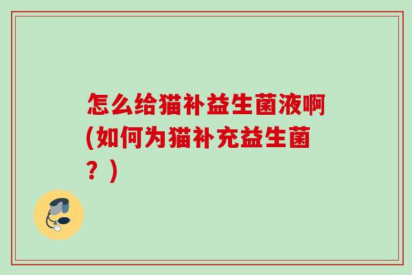 怎么给猫补益生菌液啊(如何为猫补充益生菌？)