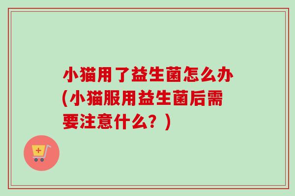 小猫用了益生菌怎么办(小猫服用益生菌后需要注意什么?) 小猫用了益生菌怎么办(小猫服用益生菌后需要注意什么?)