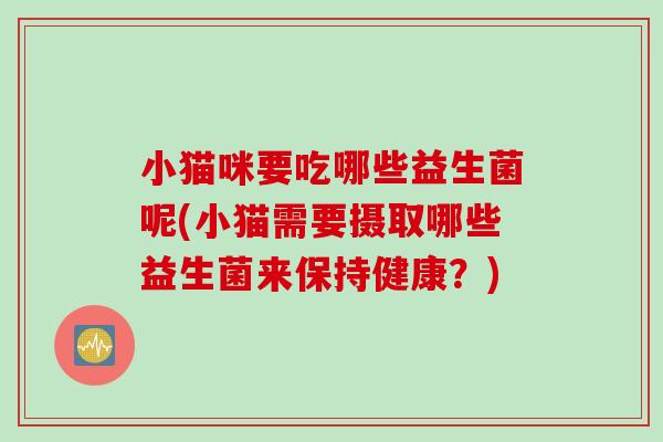 小猫咪要吃哪些益生菌呢(小猫需要摄取哪些益生菌来保持健康？)