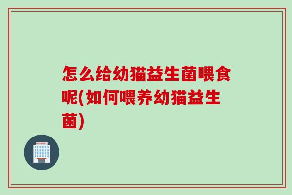 怎么给幼猫益生菌喂食呢(如何喂养幼猫益生菌)