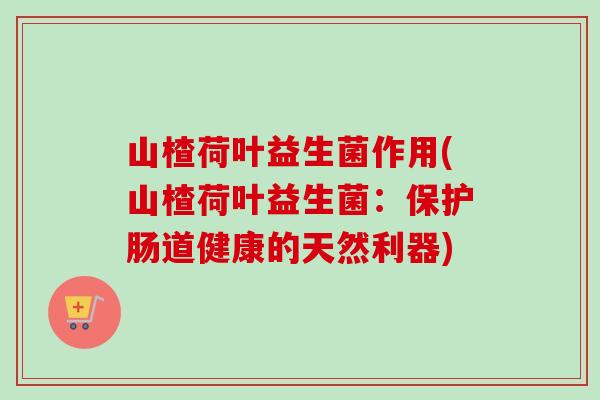 山楂荷叶益生菌作用(山楂荷叶益生菌：保护肠道健康的天然利器)