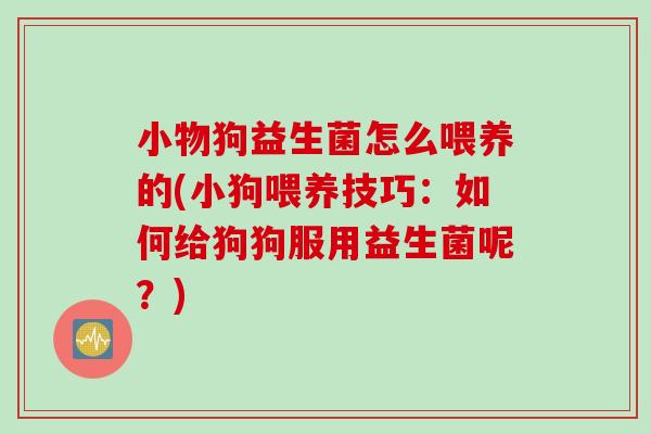 小物狗益生菌怎么喂养的(小狗喂养技巧：如何给狗狗服用益生菌呢？)