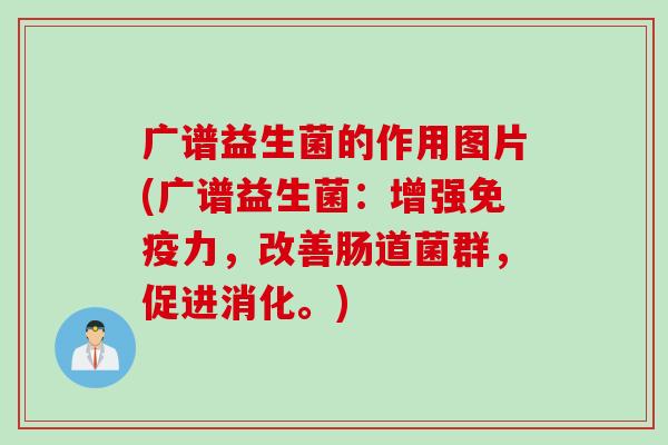 广谱益生菌的作用图片(广谱益生菌：增强力，改善肠道菌群，促进消化。)
