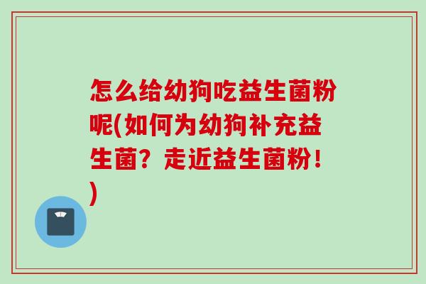 怎么给幼狗吃益生菌粉呢(如何为幼狗补充益生菌？走近益生菌粉！)