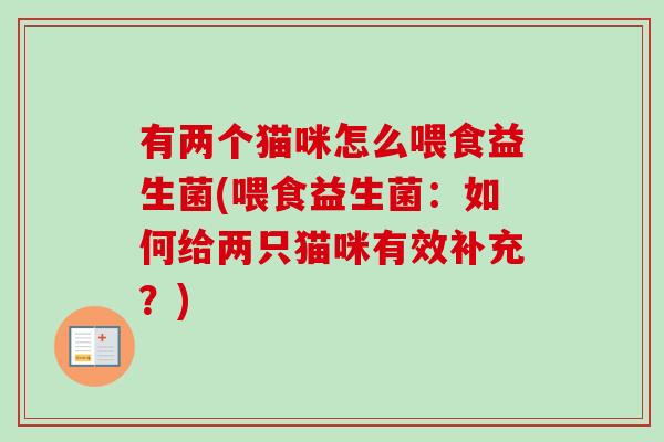 有两个猫咪怎么喂食益生菌(喂食益生菌：如何给两只猫咪有效补充？)