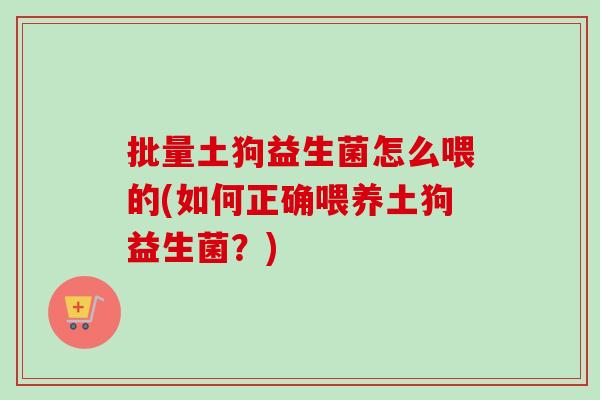 批量土狗益生菌怎么喂的(如何正确喂养土狗益生菌？)