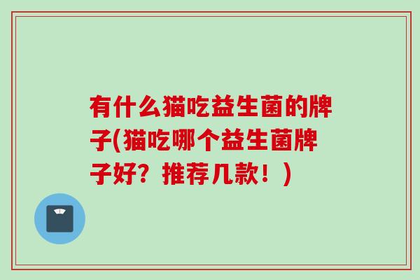 有什么猫吃益生菌的牌子(猫吃哪个益生菌牌子好？推荐几款！)