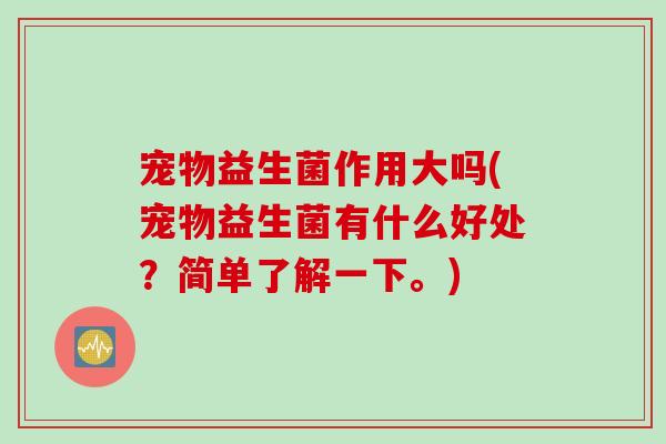 宠物益生菌作用大吗(宠物益生菌有什么好处？简单了解一下。)