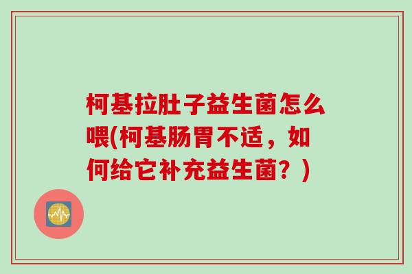 柯基拉肚子益生菌怎么喂(柯基肠胃不适,如何给它补充益生菌?) 柯基拉肚子益生菌怎么喂(柯基肠胃不适,如何给它补充益生菌?)