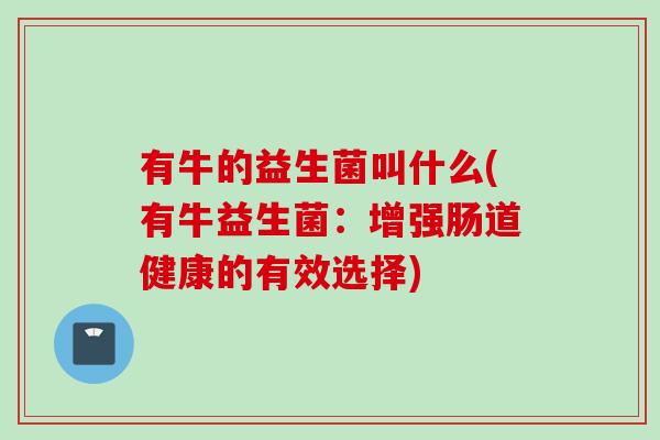 有牛的益生菌叫什么(有牛益生菌：增强肠道健康的有效选择)