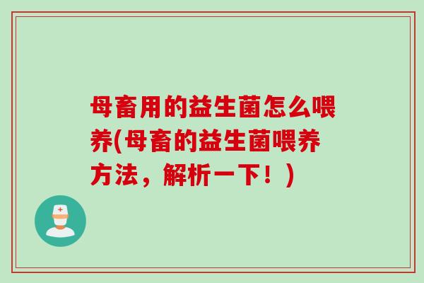 母畜用的益生菌怎么喂养(母畜的益生菌喂养方法，解析一下！)