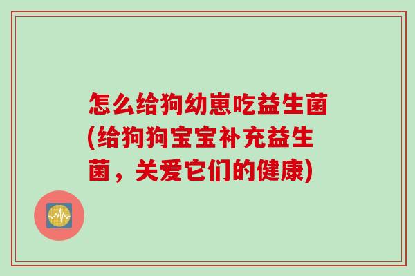 怎么给狗幼崽吃益生菌(给狗狗宝宝补充益生菌,关爱它们的健康) 怎么给狗幼崽吃益生菌(给狗狗宝宝补充益生菌,关爱它们的健康)