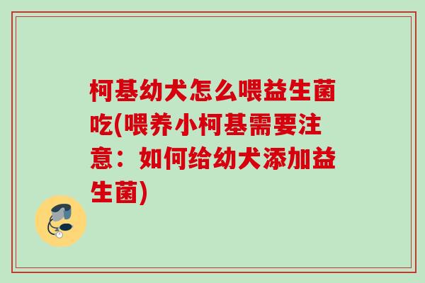柯基幼犬怎么喂益生菌吃(喂养小柯基需要注意：如何给幼犬添加益生菌)
