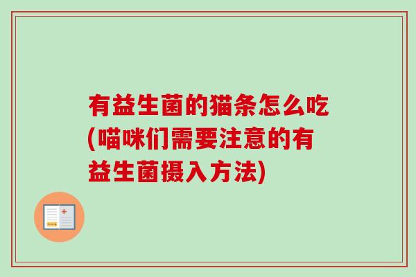 有益生菌的猫条怎么吃(喵咪们需要注意的有益生菌摄入方法)