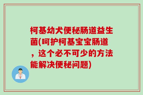 柯基幼犬肠道益生菌(呵护柯基宝宝肠道，这个必不可少的方法能解决问题)
