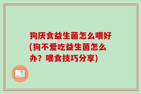 狗厌食益生菌怎么喂好(狗不爱吃益生菌怎么办？喂食技巧分享)