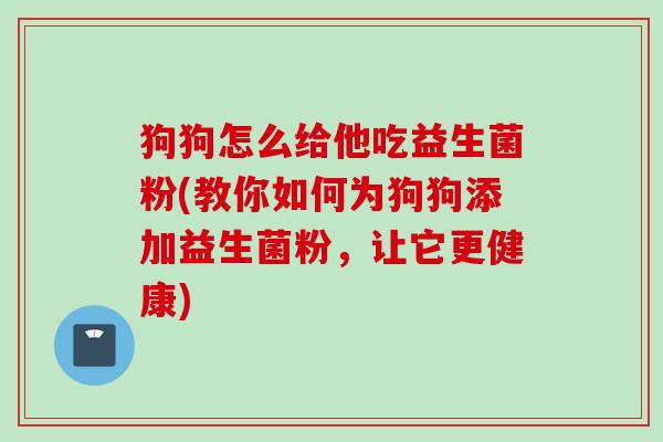 狗狗怎么给他吃益生菌粉(教你如何为狗狗添加益生菌粉，让它更健康)