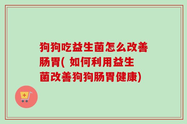 狗狗吃益生菌怎么改善肠胃( 如何利用益生菌改善狗狗肠胃健康)