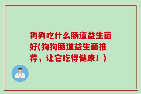 狗狗吃什么肠道益生菌好(狗狗肠道益生菌推荐，让它吃得健康！)