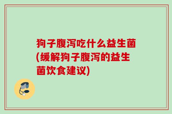 狗子吃什么益生菌(缓解狗子的益生菌饮食建议)