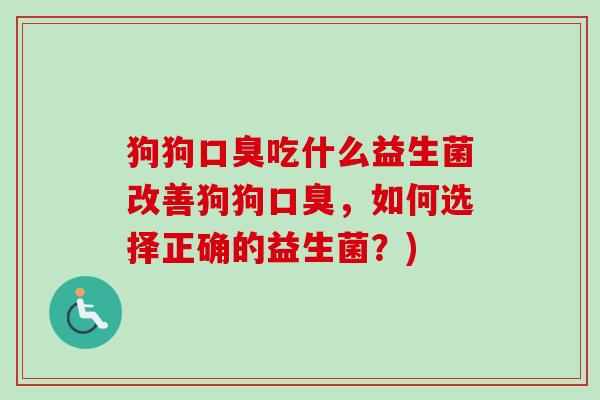 狗狗吃什么益生菌改善狗狗，如何选择正确的益生菌？)