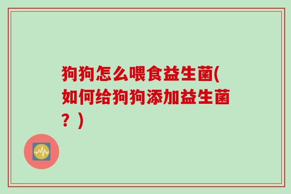 狗狗怎么喂食益生菌(如何给狗狗添加益生菌？)