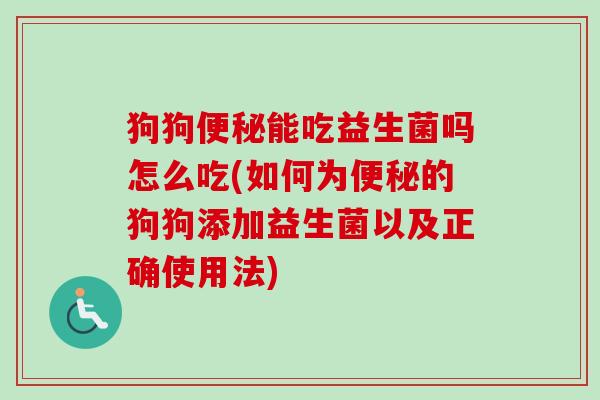 狗狗能吃益生菌吗怎么吃(如何为的狗狗添加益生菌以及正确使用法)