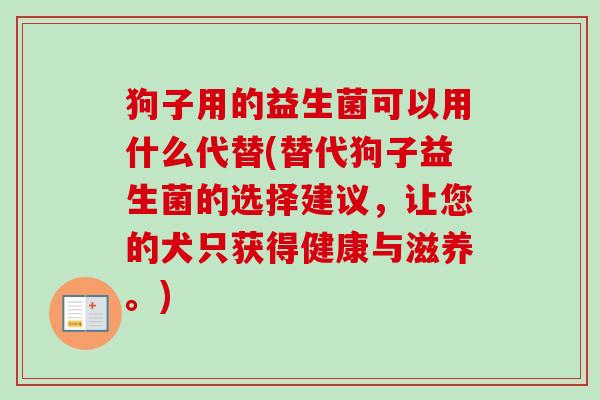 狗子用的益生菌可以用什么代替(替代狗子益生菌的选择建议，让您的犬只获得健康与滋养。)