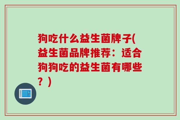 狗吃什么益生菌牌子(益生菌品牌推荐：适合狗狗吃的益生菌有哪些？)