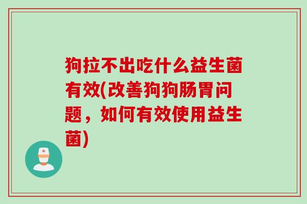 狗拉不出吃什么益生菌有效(改善狗狗肠胃问题,如何有效使用益生菌) 狗拉不出吃什么益生菌有效(改善狗狗肠胃问题,如何有效使用益生菌)