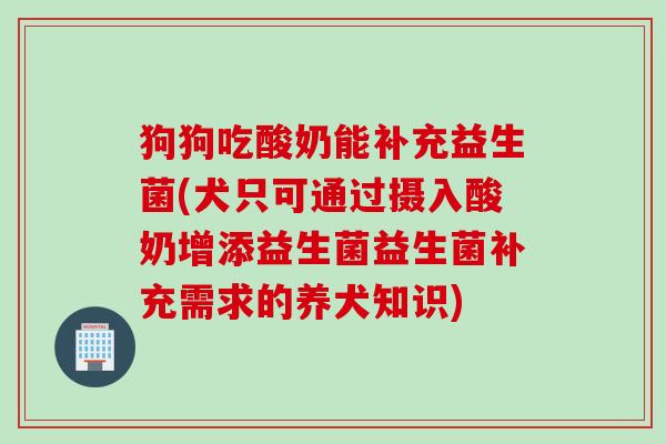 狗狗吃酸奶能补充益生菌(犬只可通过摄入酸奶增添益生菌益生菌补充需求的养犬知识)