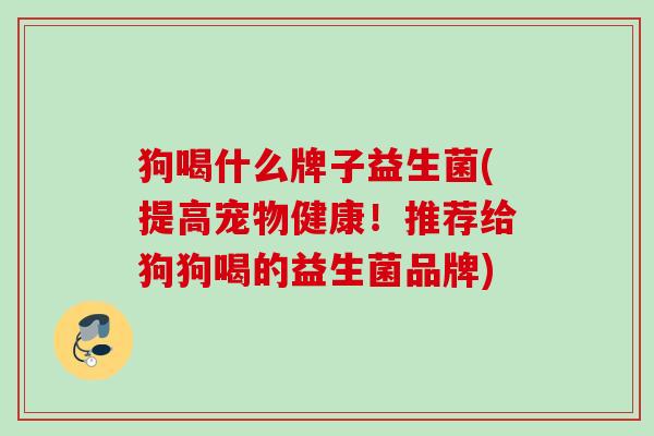 狗喝什么牌子益生菌(提高宠物健康!推荐给狗狗喝的益生菌品牌) 狗喝什么牌子益生菌(提高宠物健康!推荐给狗狗喝的益生菌品牌)