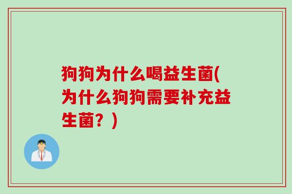 狗狗为什么喝益生菌(为什么狗狗需要补充益生菌?) 狗狗为什么喝益生菌(为什么狗狗需要补充益生菌?)