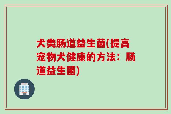 犬类肠道益生菌(提高宠物犬健康的方法：肠道益生菌)