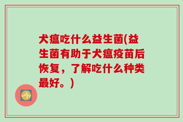 犬瘟吃什么益生菌(益生菌有助于犬瘟疫苗后恢复,了解吃什么种类好。) 犬瘟吃什么益生菌(益生菌有助于犬瘟疫苗后恢复,了解吃什么种类好。)