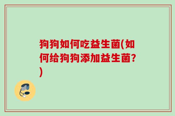 狗狗如何吃益生菌(如何给狗狗添加益生菌？)