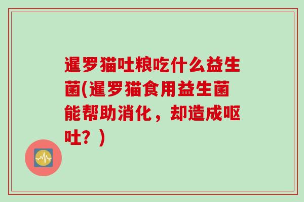 暹罗猫吐粮吃什么益生菌(暹罗猫食用益生菌能帮助消化，却造成？)