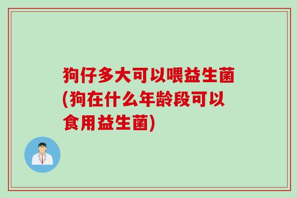 狗仔多大可以喂益生菌(狗在什么年龄段可以食用益生菌)