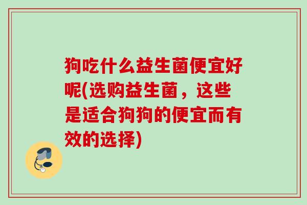 狗吃什么益生菌便宜好呢(选购益生菌，这些是适合狗狗的便宜而有效的选择)