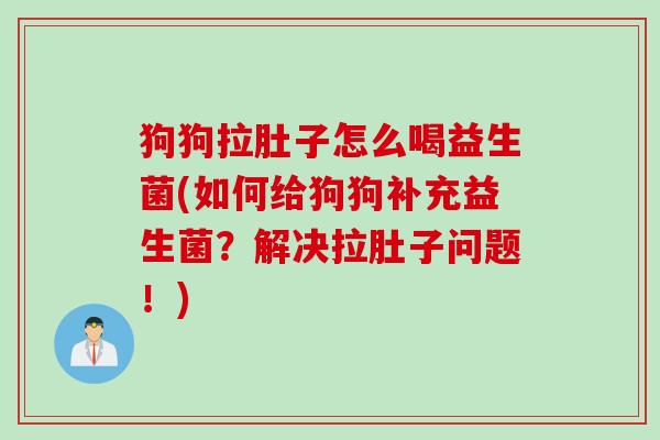 狗狗拉肚子怎么喝益生菌(如何给狗狗补充益生菌?解决拉肚子问题!) 狗狗拉肚子怎么喝益生菌(如何给狗狗补充益生菌?解决拉肚子问题!)