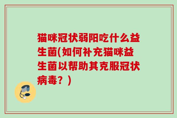 猫咪冠状弱阳吃什么益生菌(如何补充猫咪益生菌以帮助其克服冠状？)