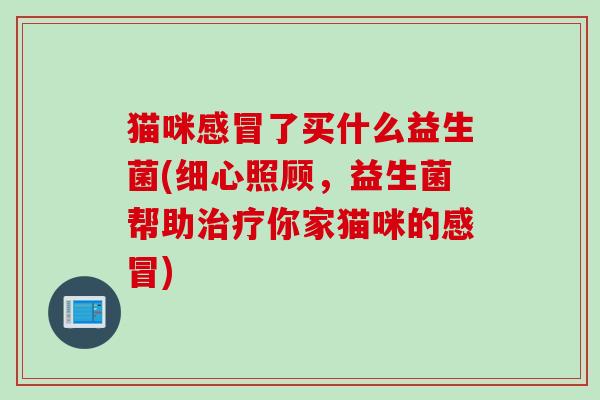 猫咪了买什么益生菌(细心照顾，益生菌帮助你家猫咪的)