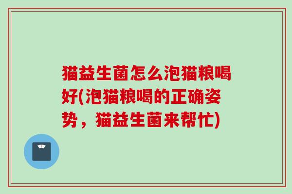 猫益生菌怎么泡猫粮喝好(泡猫粮喝的正确姿势，猫益生菌来帮忙)
