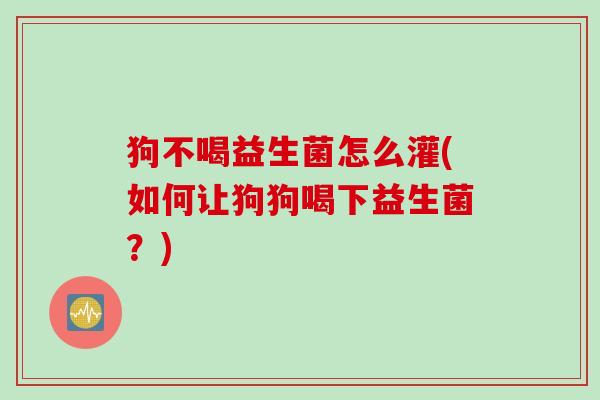 狗不喝益生菌怎么灌(如何让狗狗喝下益生菌？)