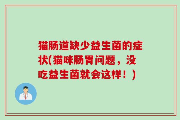 猫肠道缺少益生菌的症状(猫咪肠胃问题，没吃益生菌就会这样！)